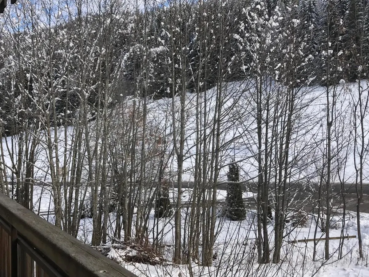 Apartment Location Cosy Aux Gets - 4 Pers, 2 Pieces, Proche Ski Et Centre - Fr-1-671-149 Les Gets France